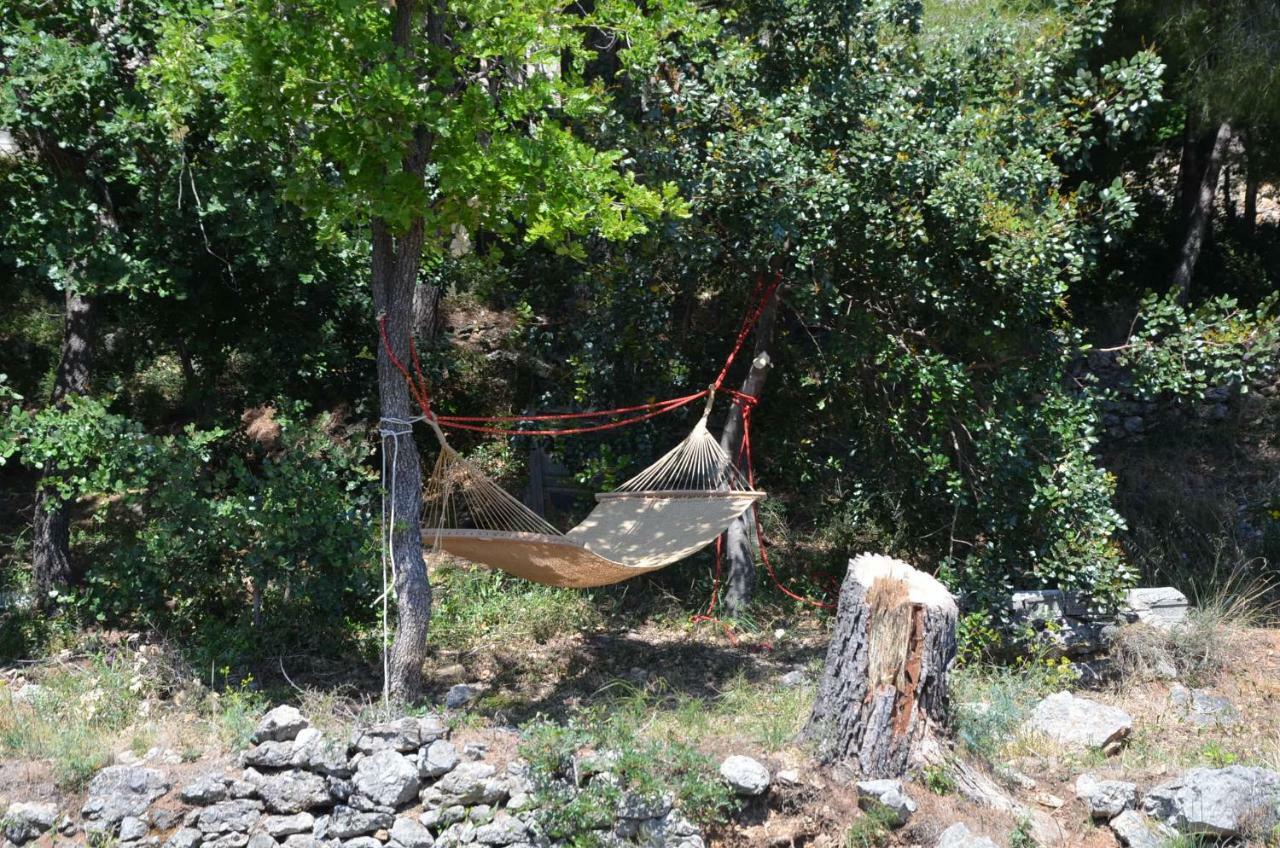 Agriturismo Tendapiccola كيريالي المظهر الخارجي الصورة