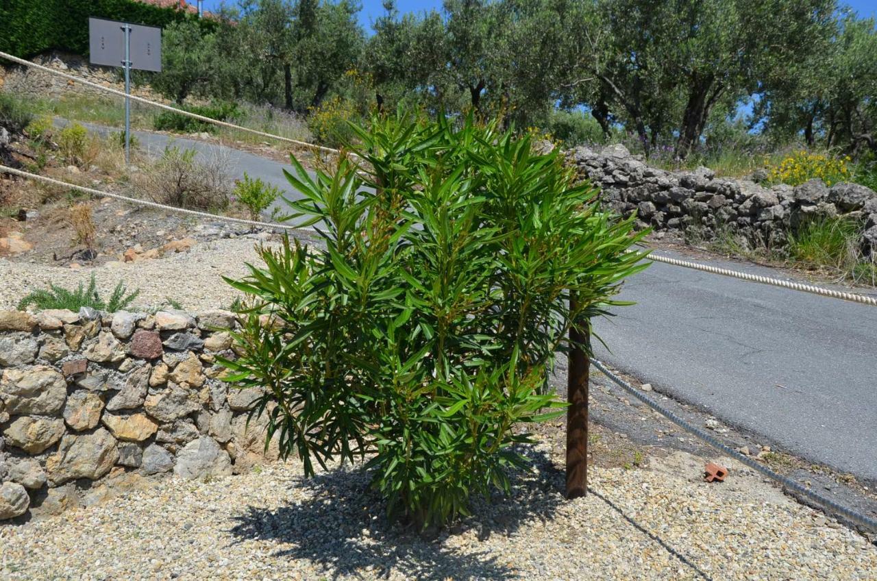 Agriturismo Tendapiccola كيريالي المظهر الخارجي الصورة