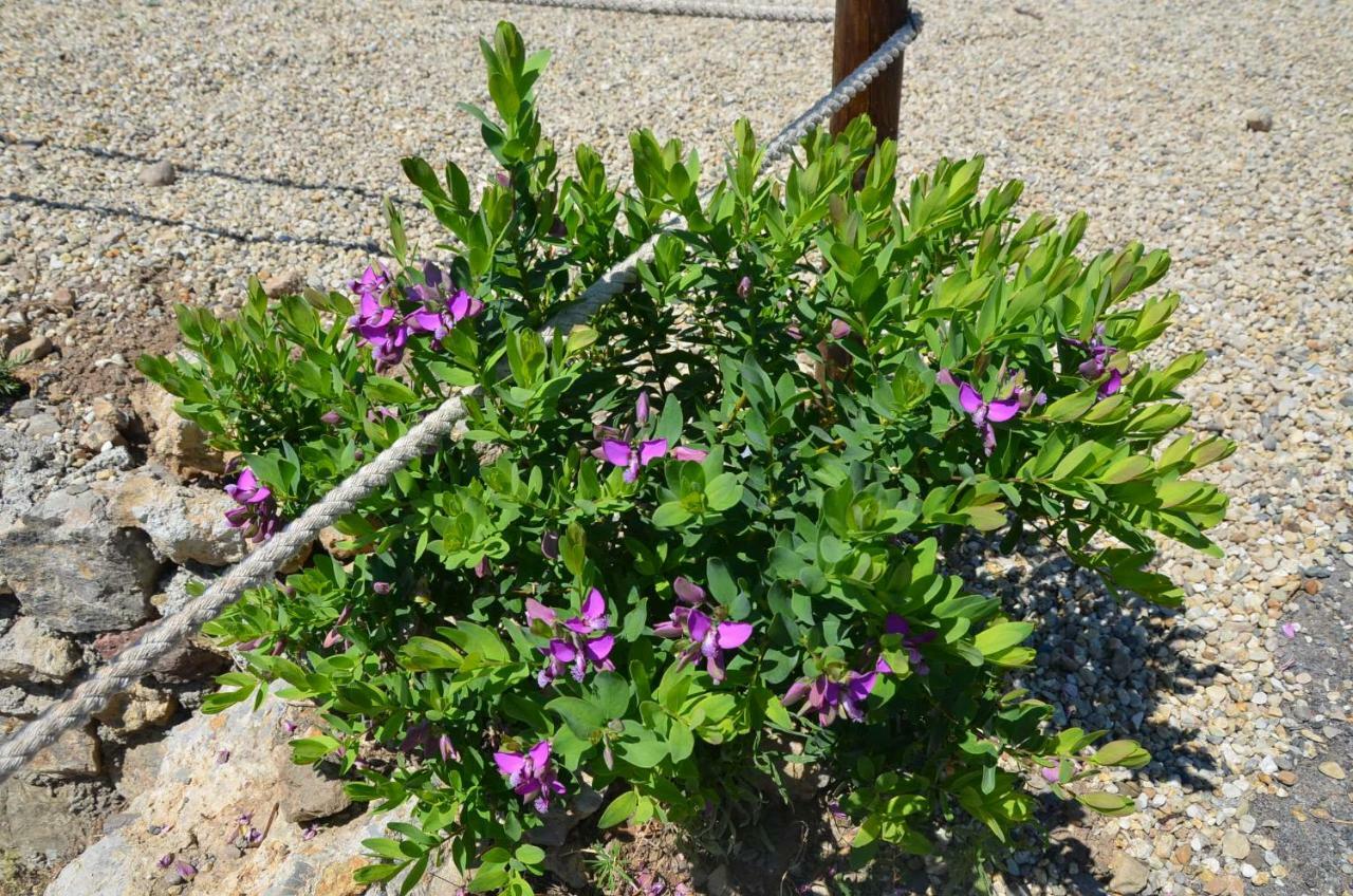 Agriturismo Tendapiccola كيريالي المظهر الخارجي الصورة